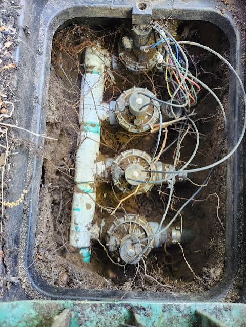 Valve Repair