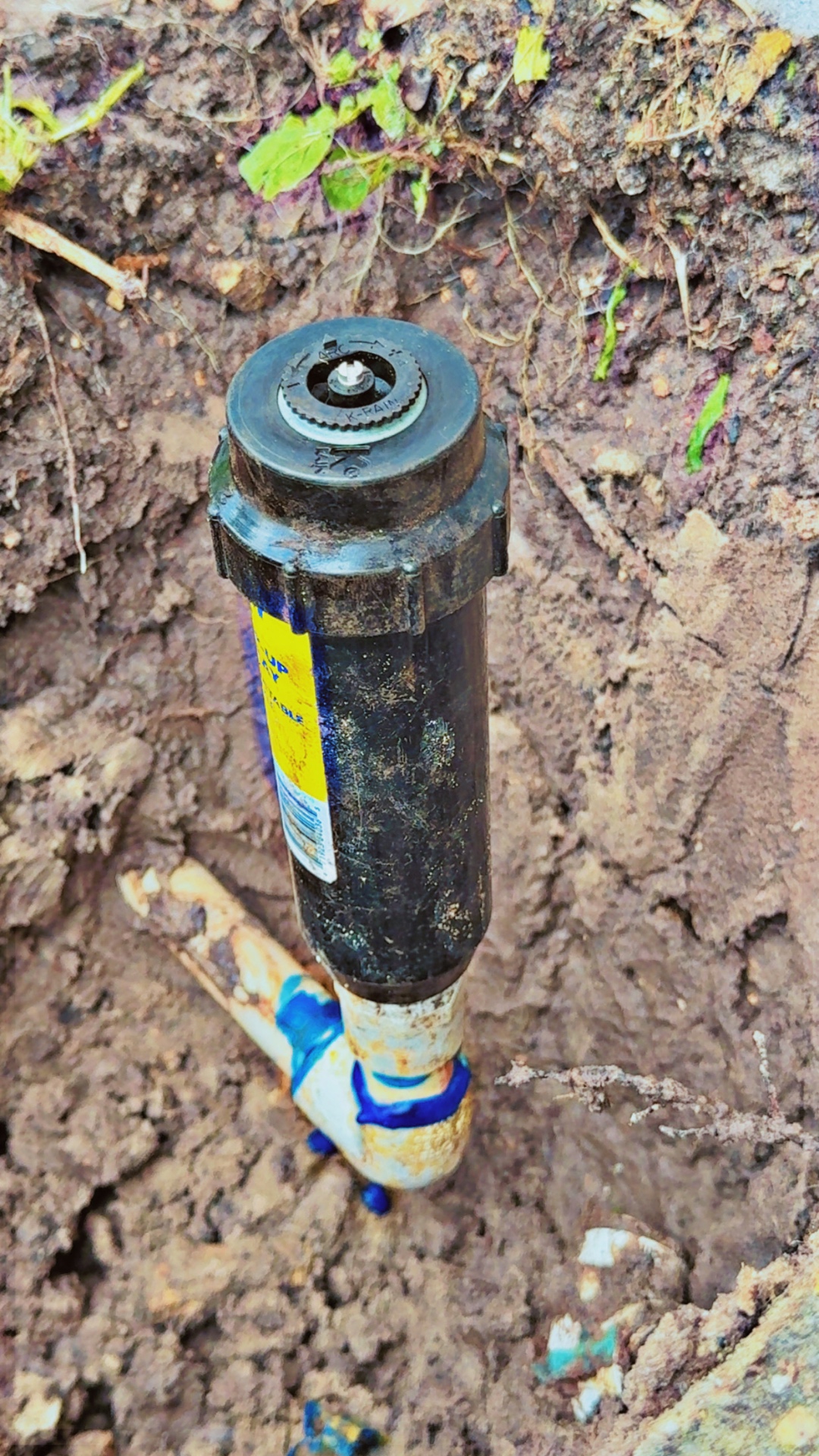 Sprinkler Service